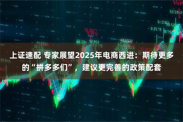 上证速配 专家展望2025年电商西进：期待更多的“拼多多们”，建议更完善的政策配套