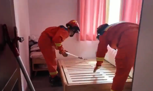 六六配资 “宠物蛇”趁主人不备逃跑