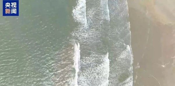 创惠优配 暑假开启, 小海鲜伤人事件频发! 赶海防护必看